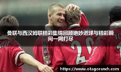 江南体育JN SPORTS